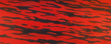 Rotes Meer / red sea