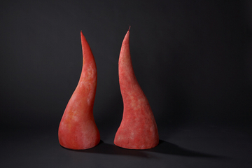 Verteidigung / defence