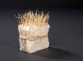 steady, upright, pointed